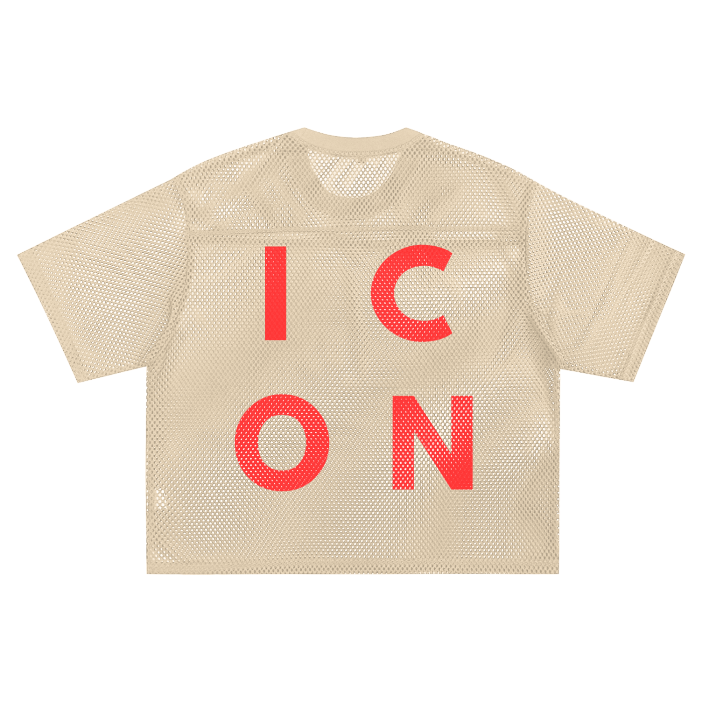See-through Boxy Net Tee