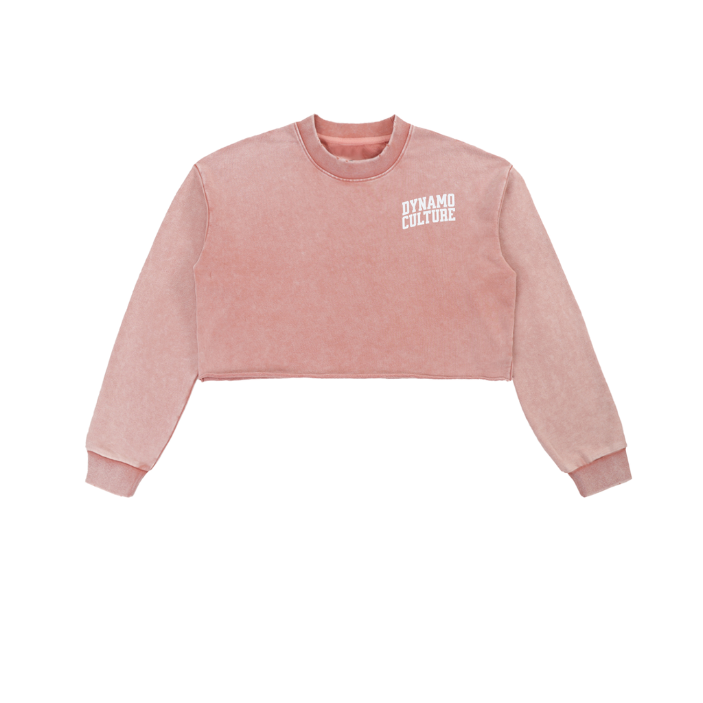 Snow Washed Raw Edge Cropped Sweatshirt