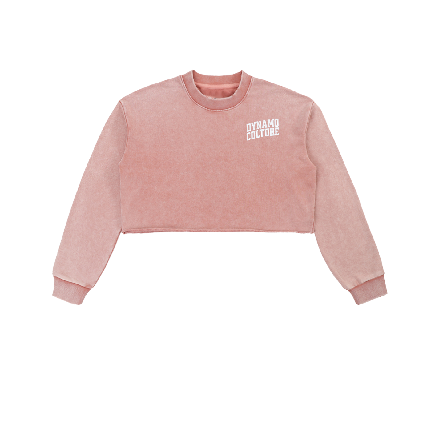 Snow Washed Raw Edge Cropped Sweatshirt