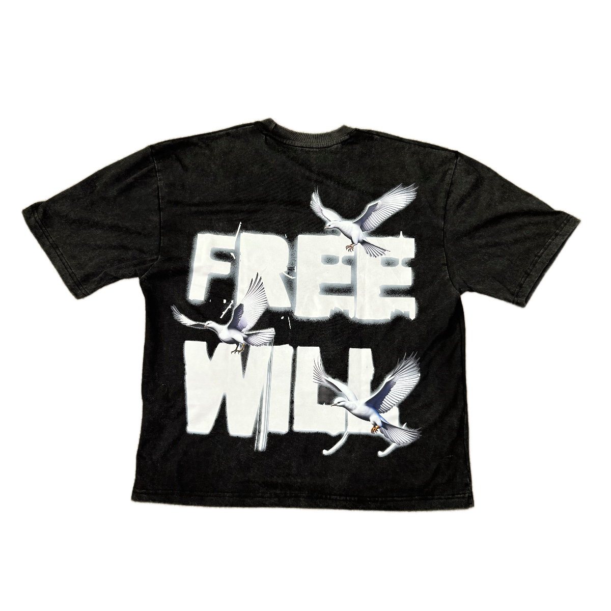 FREE WILL - WASHED BLACK TEE